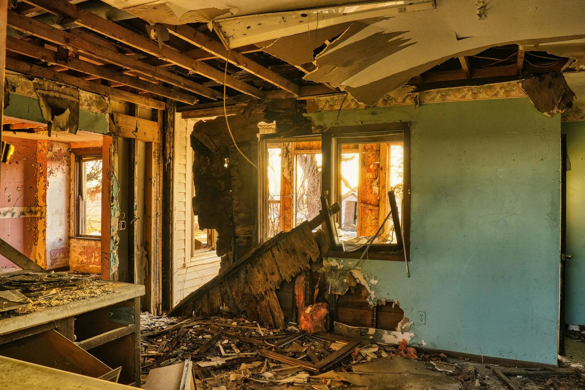Orlando's Dedicated Mold Abatement & Environmental Specialists — Orlando, FL